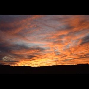 Meet your Posher, Shayna